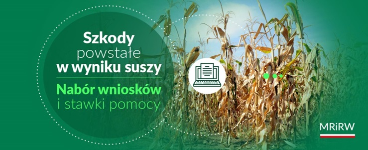 Szkody powstałe w wyniku suszy – nabór wniosków - plakat